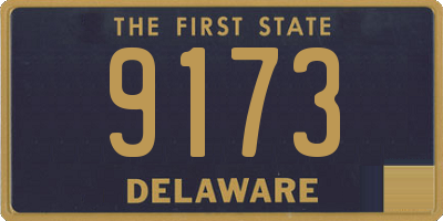 DE license plate 9173
