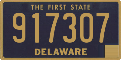 DE license plate 917307