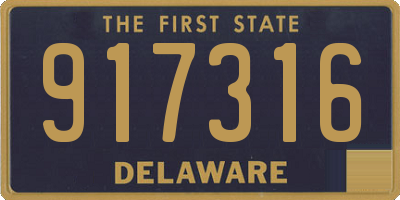 DE license plate 917316