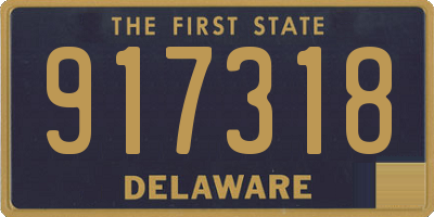 DE license plate 917318