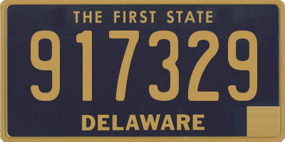 DE license plate 917329