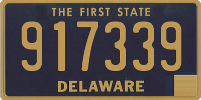 DE license plate 917339