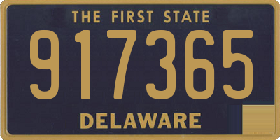 DE license plate 917365