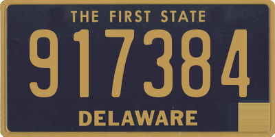 DE license plate 917384