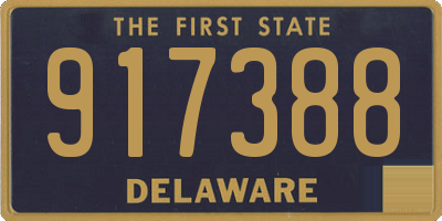 DE license plate 917388