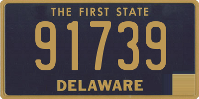 DE license plate 91739