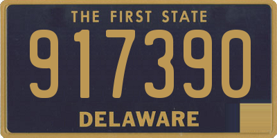 DE license plate 917390