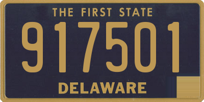 DE license plate 917501