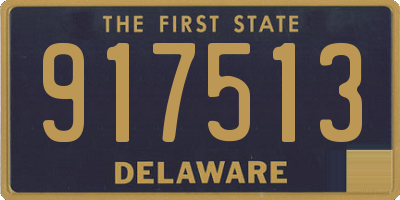 DE license plate 917513