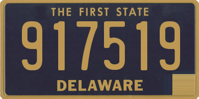 DE license plate 917519