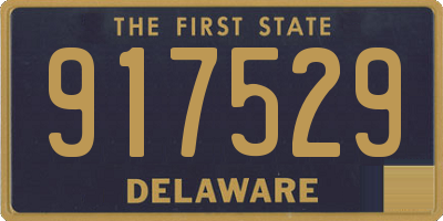DE license plate 917529