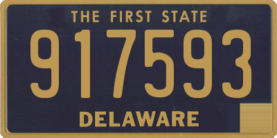DE license plate 917593