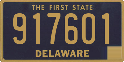 DE license plate 917601