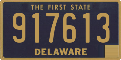 DE license plate 917613