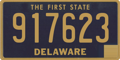 DE license plate 917623