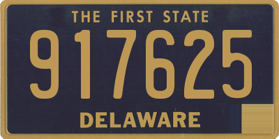 DE license plate 917625