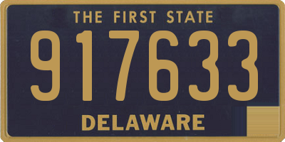 DE license plate 917633