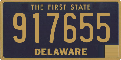 DE license plate 917655
