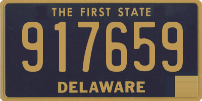 DE license plate 917659