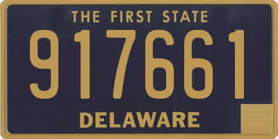 DE license plate 917661