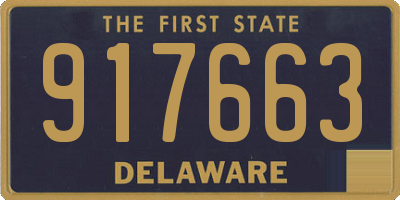 DE license plate 917663
