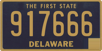 DE license plate 917666