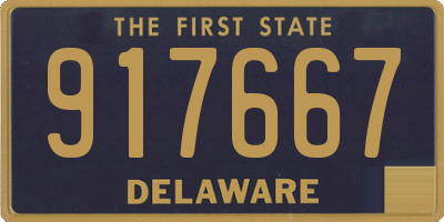 DE license plate 917667