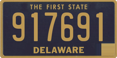 DE license plate 917691