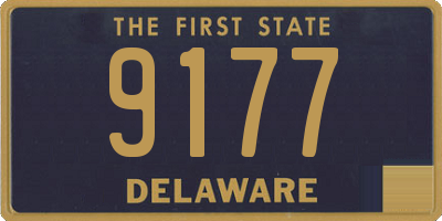 DE license plate 9177