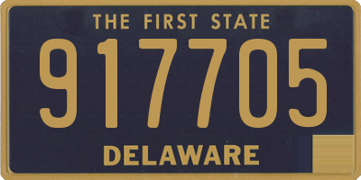 DE license plate 917705