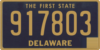 DE license plate 917803