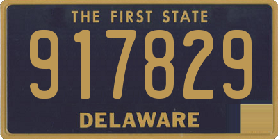 DE license plate 917829