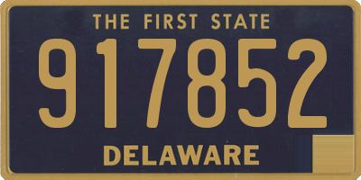 DE license plate 917852