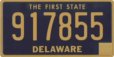 DE license plate 917855