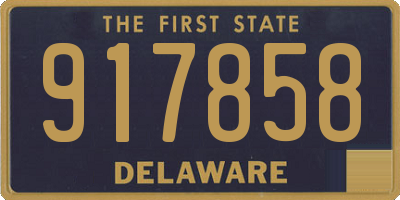 DE license plate 917858