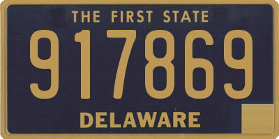 DE license plate 917869