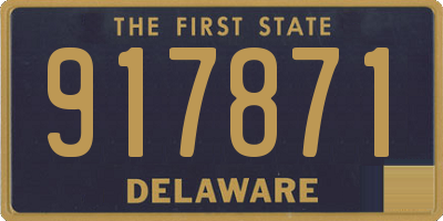 DE license plate 917871