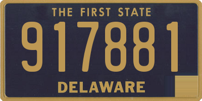 DE license plate 917881