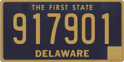 DE license plate 917901