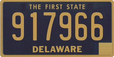 DE license plate 917966