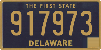 DE license plate 917973