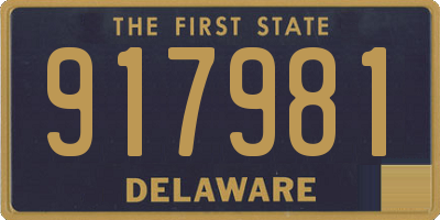DE license plate 917981