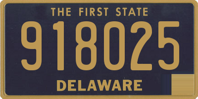 DE license plate 918025