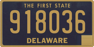 DE license plate 918036