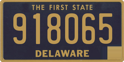 DE license plate 918065