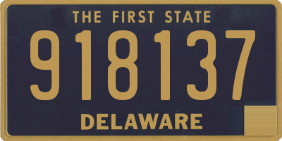 DE license plate 918137