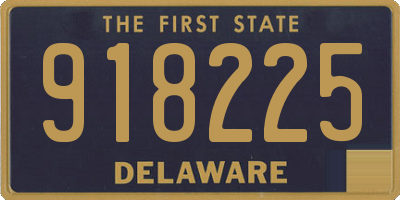 DE license plate 918225