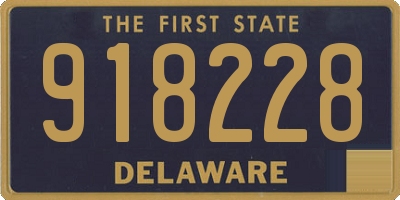 DE license plate 918228