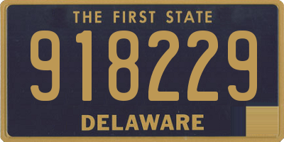 DE license plate 918229