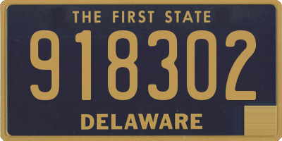 DE license plate 918302